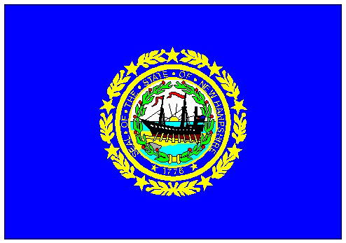 New Hampshire Flag