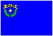 Nevada Flag