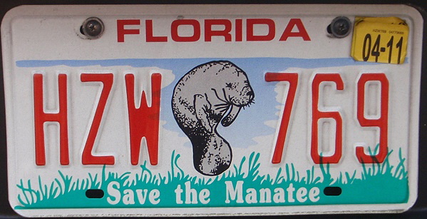 Licence Plate Florida