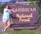 Caribbean National Forest