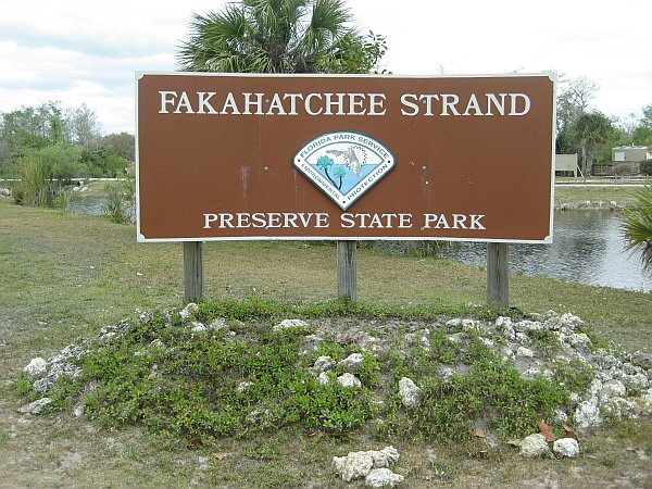 Fakahatchee Strand Preserve State Park