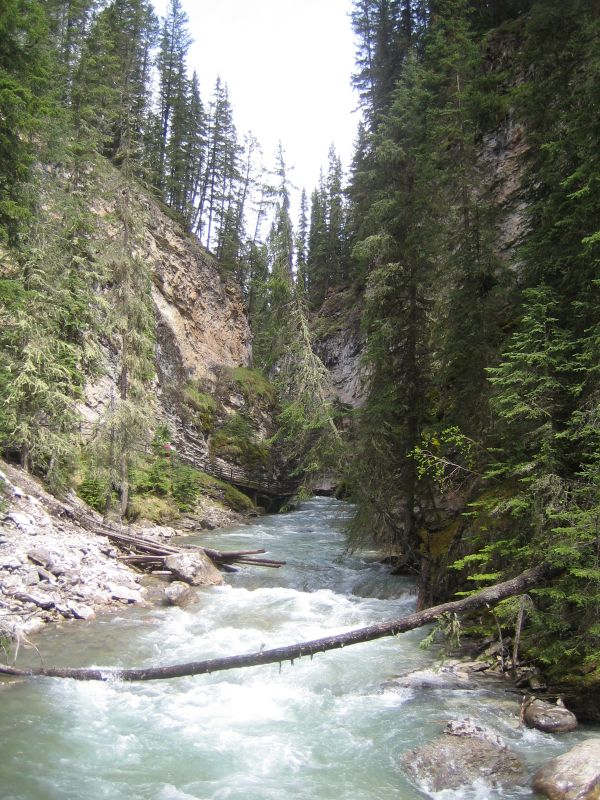Johnston Canyon