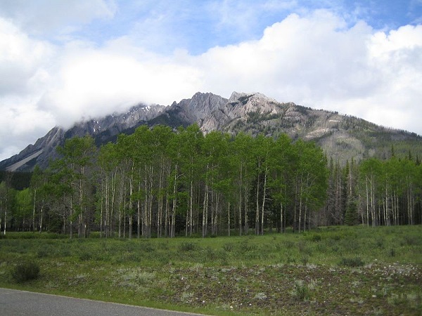 Hillsdale Meadows