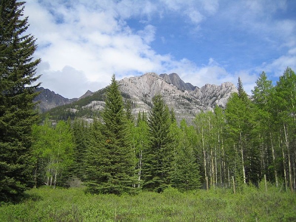Hillsdale Meadows