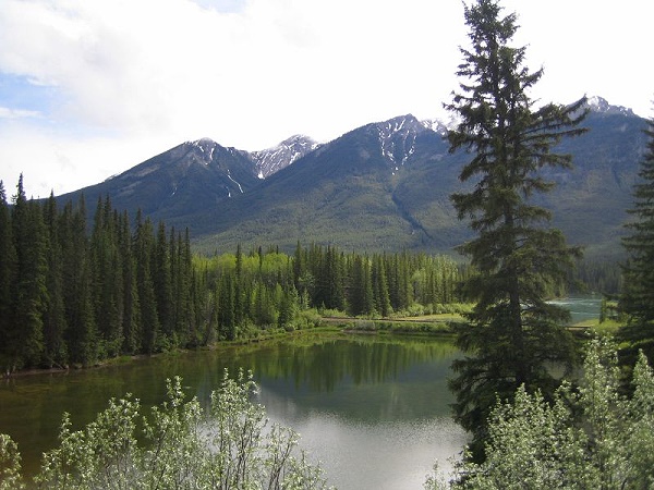 Hillsdale Meadows
