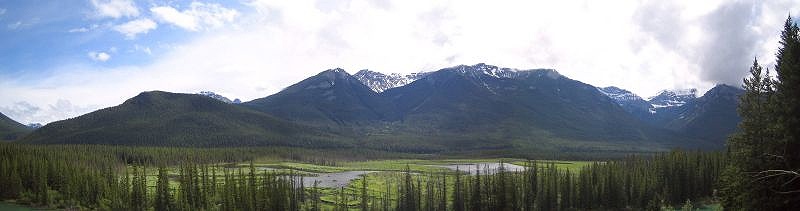 Mule Shoe Viewpoint