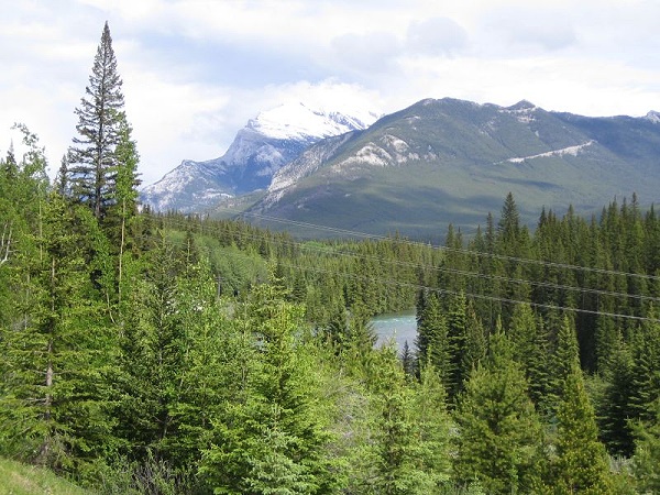Backswamp Viewpoints