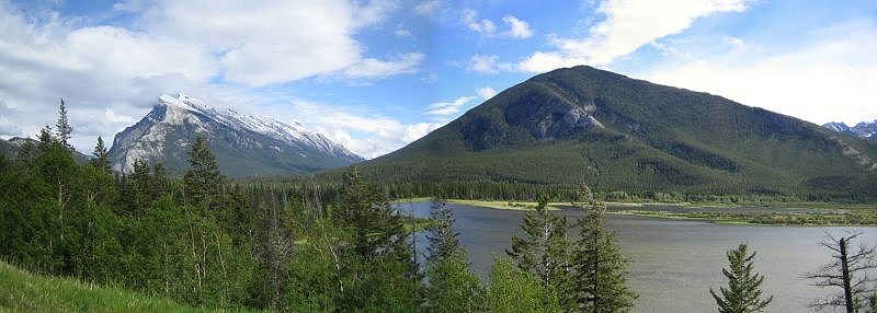 Backswamp Viewpoints