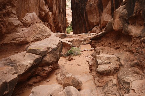 Natural Bridge Natural Bridge