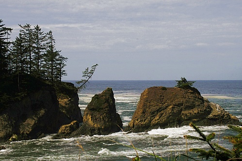 Cape Arago - North Cove Cape Arago - North Cove