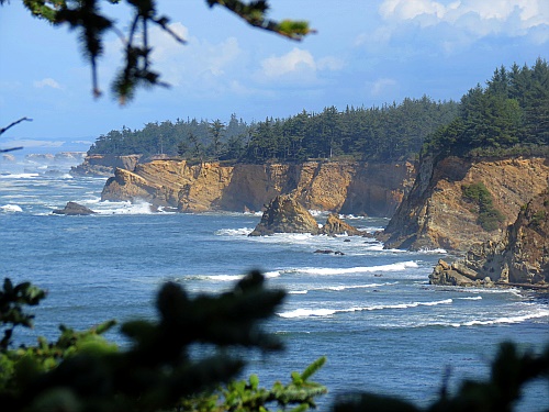 Cape Arago - North Cove Cape Arago - North Cove