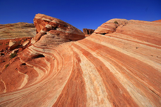 Valley of Fire Wave Valley of Fire Wave