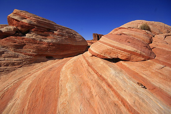 Valley of Fire Wave Valley of Fire Wave