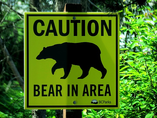 Caution - Bear in Area. Oder auch nicht.....