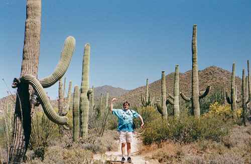 Organ Pipe Cactus Park