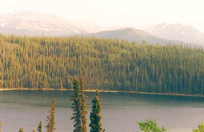 Dease Lake Dease Lake
