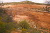 Upper Ute Canyon View