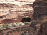 Black Arch