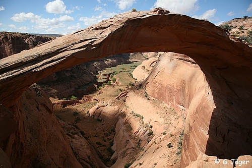 Eggshell Arch