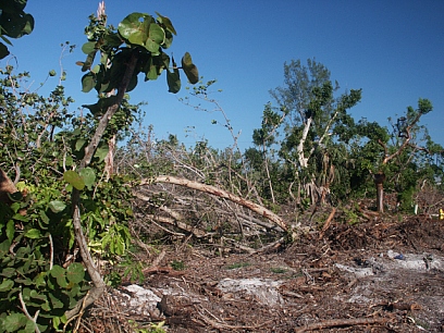 Hurrikansch�den