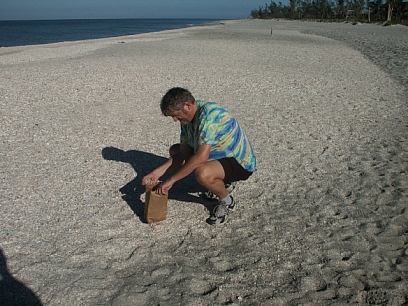 extreme Muschelsammeling am Tarpon Beach
