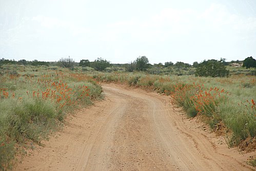 Gemini Bridges Road