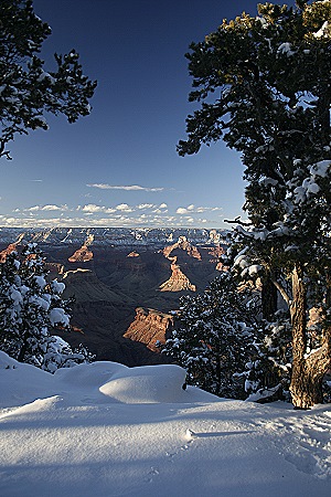 Grand Canyon im Schnee