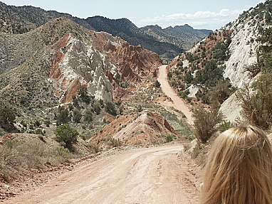 Cottonwood Canyon