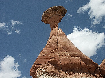 Toadstool Hoodoo