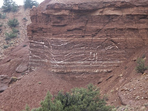 Capitol Gorge