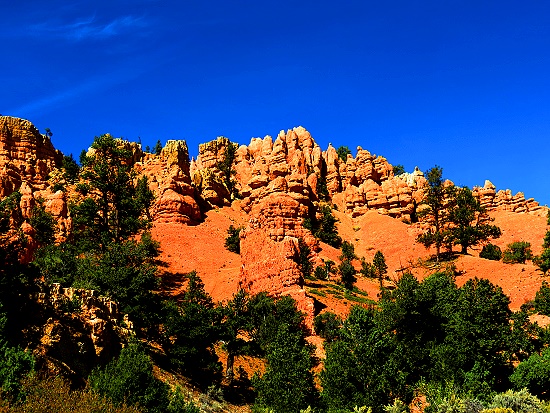 Red Canyon Red Canyon