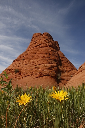 Teepees @ Paw Hole