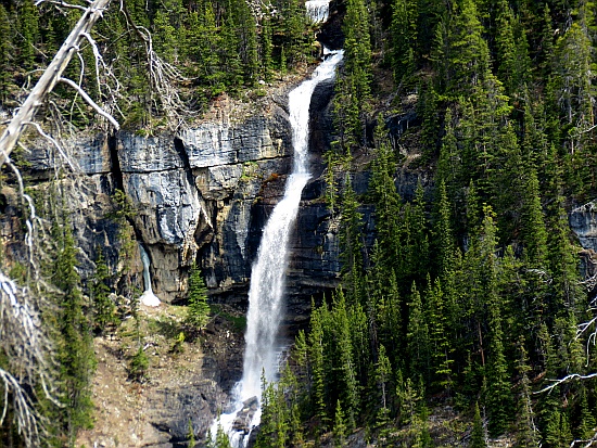 Icefield Parkway - Bridal Veil Falls