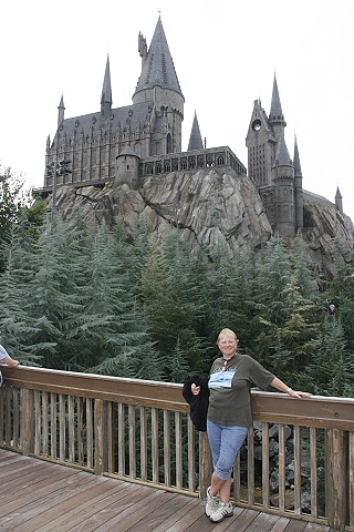 The Wizarding World of Harry Potter