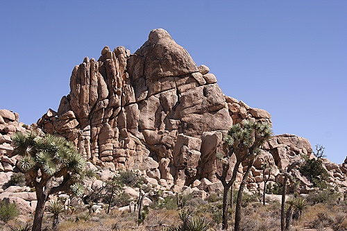 Joshua Tree National Park Joshua Tree National Park