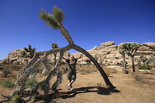 Joshua Tree National Park