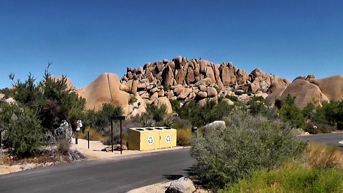 Jumbo Rock - Joshua Tree National Park