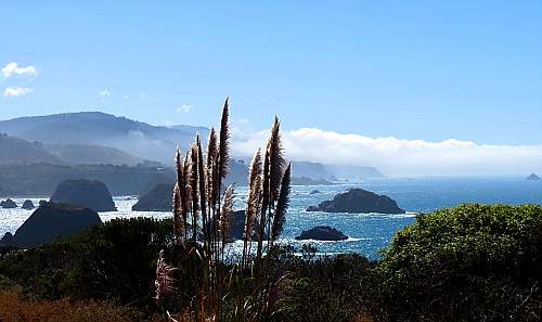 California 1 - irgendwo südlich von Mendocino California 1 - irgendwo südlich von Mendocino