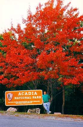 Welcome to Acadia National Park