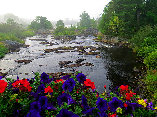 Columbia Falls, Maine Columbia Falls, Maine
