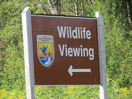 Wildlife Viewing - hahaha Wildlife Viewing - hahaha