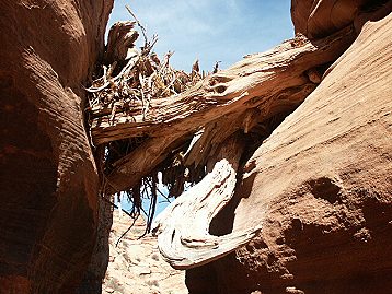 Buckskin Gulch