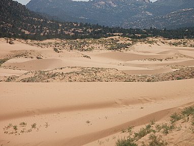 Coral Pink Sand Dunes