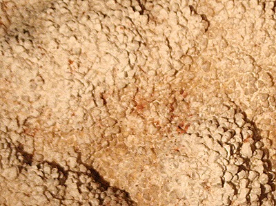 uwel Cave National Monument uwel Cave National Monument