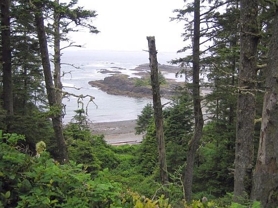 tofino22 tofino22