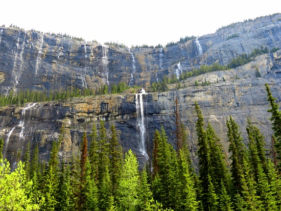 Icefield Parkway - Weeping Wall