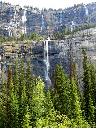 Icefield Parkway - Weeping Wall