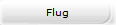 Flug
