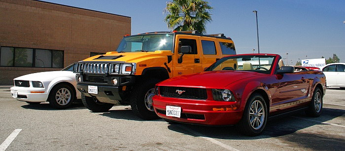 Mustang Hummers