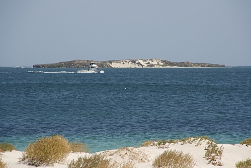 Kangaroo Point